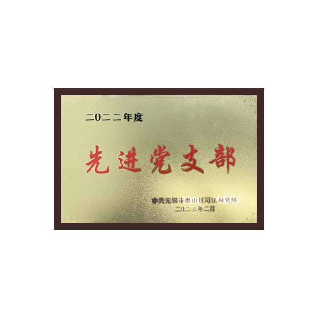 先进党支部