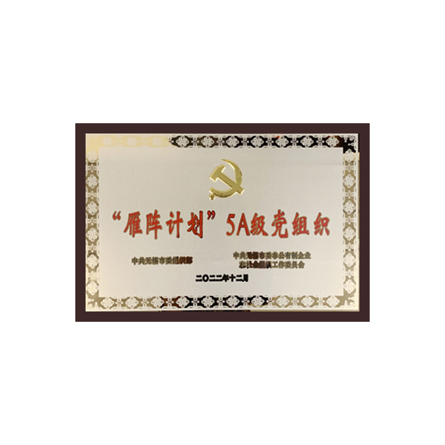 雁阵计划5A级党组织
